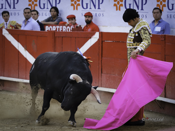 Desmayando el enga�o