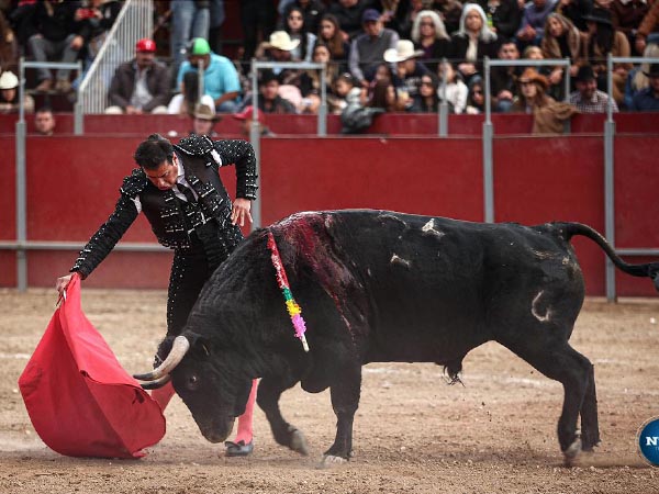 Montes cosech� una oreja