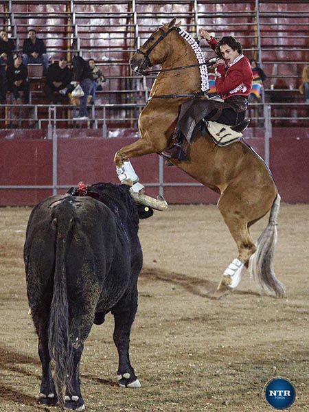 Adornos y doma del caballista
