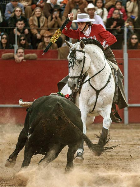 Joven maestro rejoneador