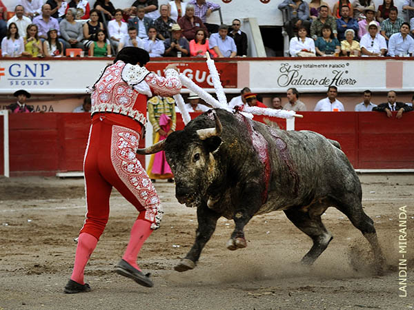 La fiereza del c�rdeno