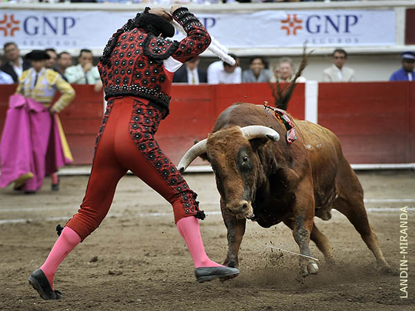 Un colorado muy bravo