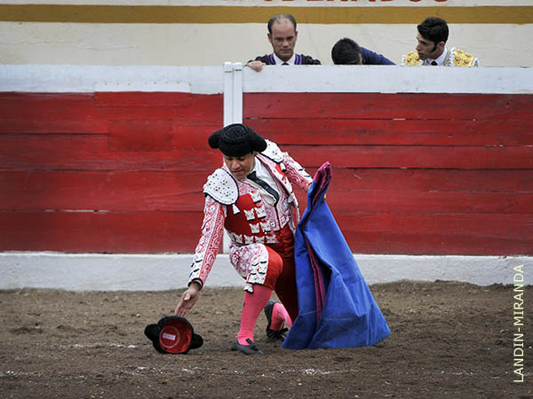 Los machos hacia abajo