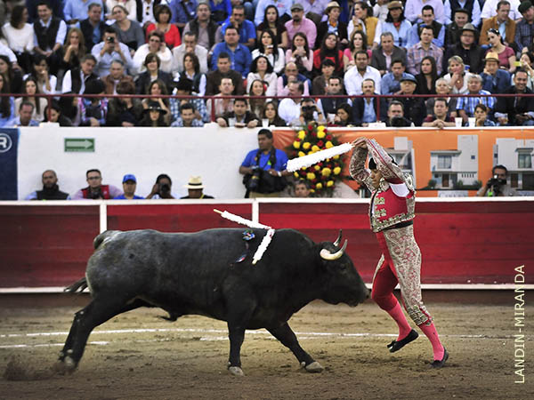 Tarde de toros en la Nuevo Progreso