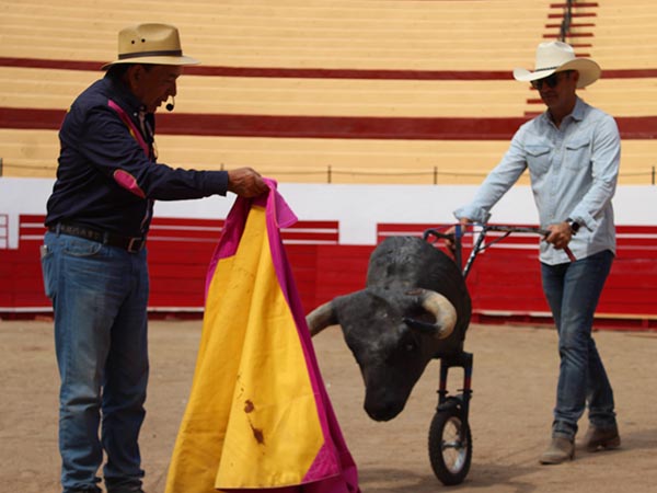 Importante aportaci�n al toreo mexicano