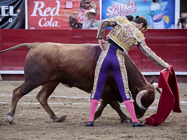 Templando la embestida