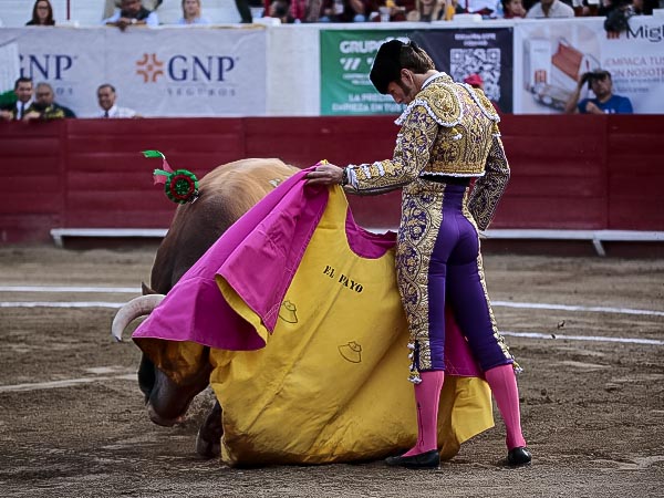 El Payo a la ver�nica