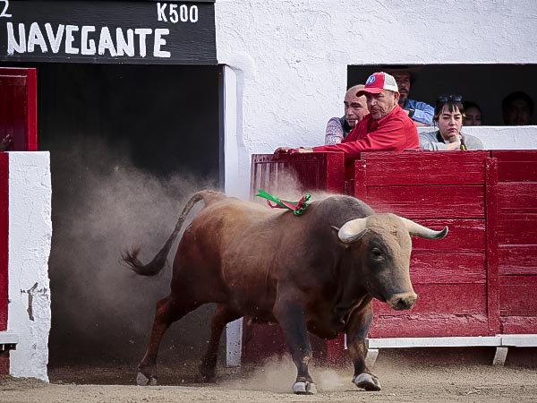 Un nombre para olvidar