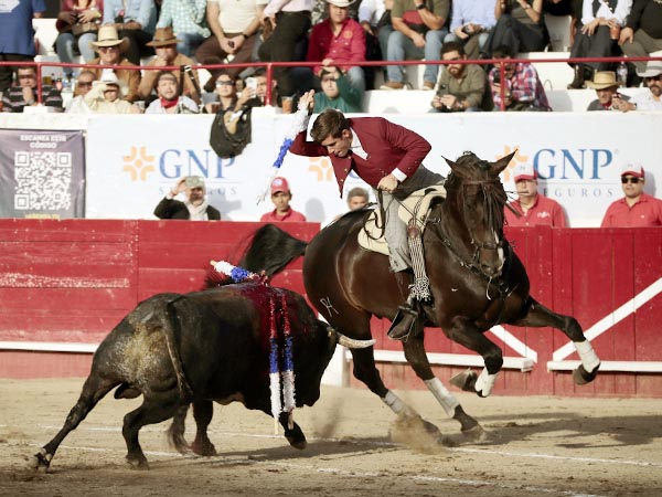 Metiendo la cara abajo