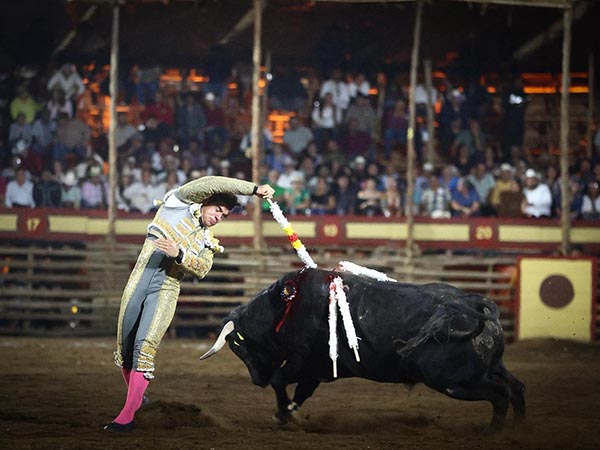 Viol�n en la cara del toro