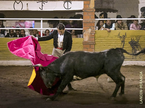 Luis de Triana, con el quinto del festejo