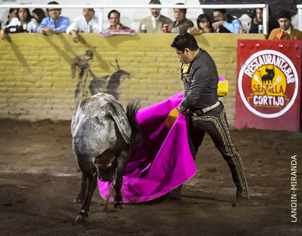 Saludo capotero de Reynoso