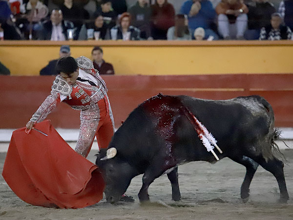 Apuntando el toreo bueno