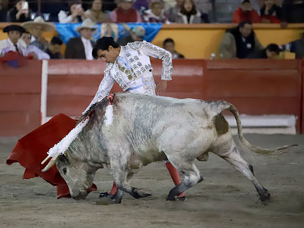 Detalles de calidad y arte