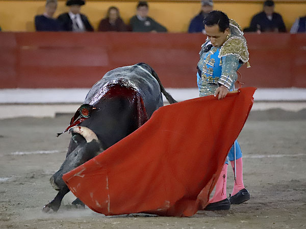 Disfrutando la calidad del Novillo