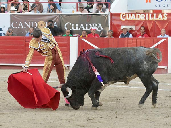 Conduciendo la embestida