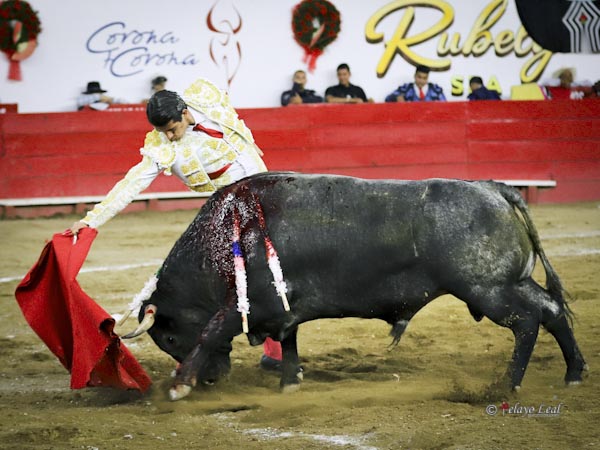 La entrega del torero