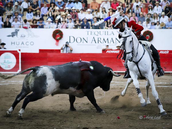 Lucida faena de Guillermo