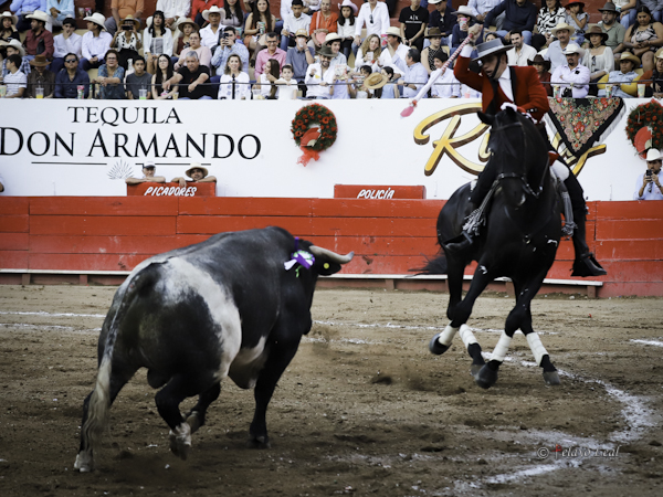 Emoci�n en el ruedo