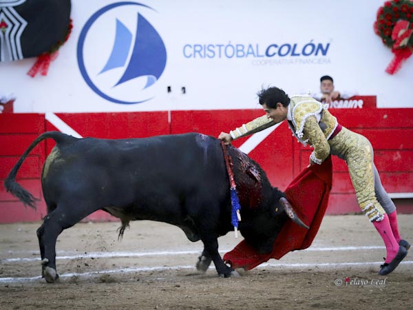 La estocada del hidroc�lido