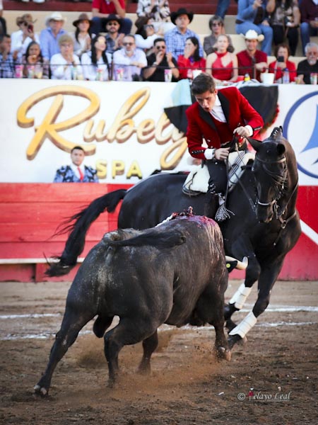 Encelando de costado