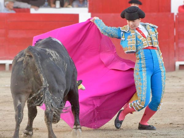 Variedad en su capote