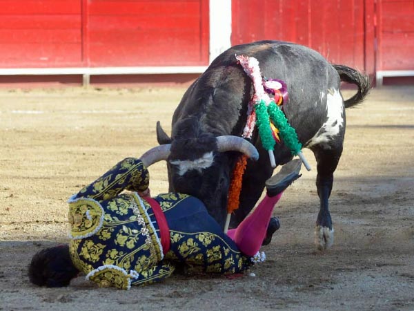 Ceb�ndose con el torero