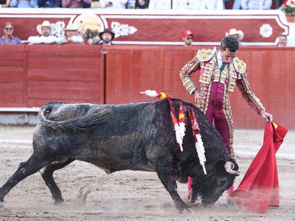 Reposado temple del matador