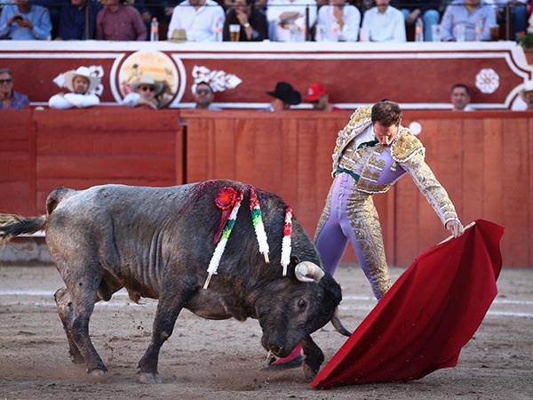 Buen pit�n izquierdo