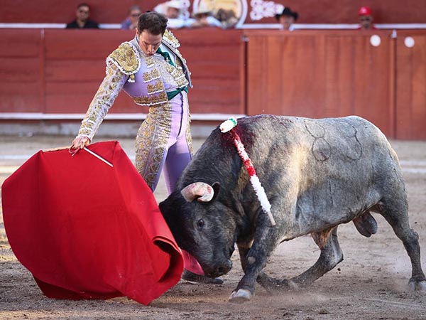 Intensa faena en los medios