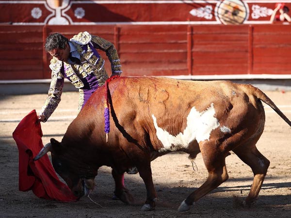 Vistosa capa del primero