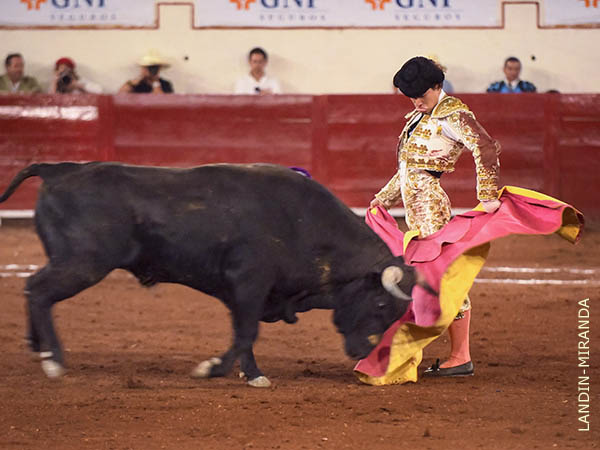 Chicuelinas en el centro del ruedo