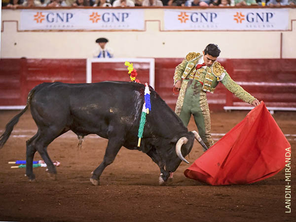 Evoluci�n en su concepto