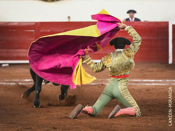 Ruiz, cuatro faroles de hinojos