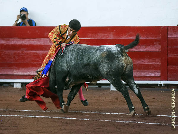 Volcado sobre el morrillo