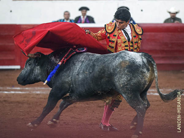 Esforzado por agradar