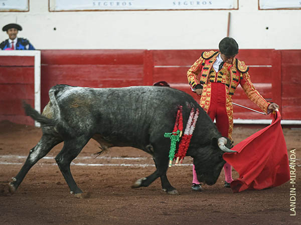 Tandas de buena factura