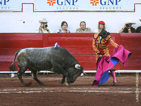 Las ver�nicas de Venturita