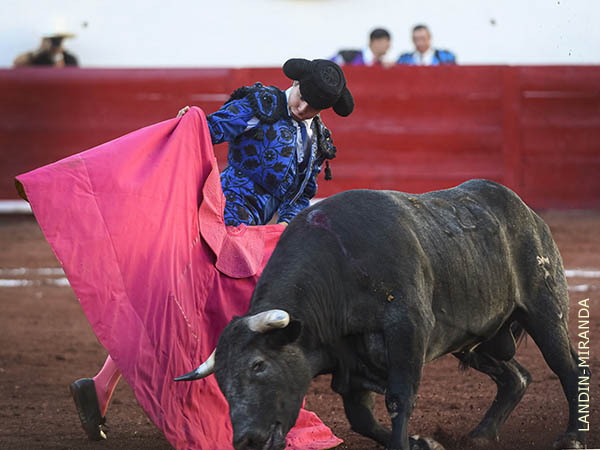 Vladimir D�az, a la ver�nica