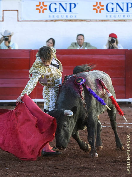 Ce�idas tandas en los medios