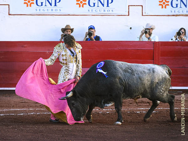 Sentimiento en los lances