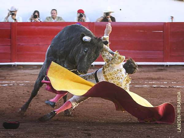 Prendido de la hombrera