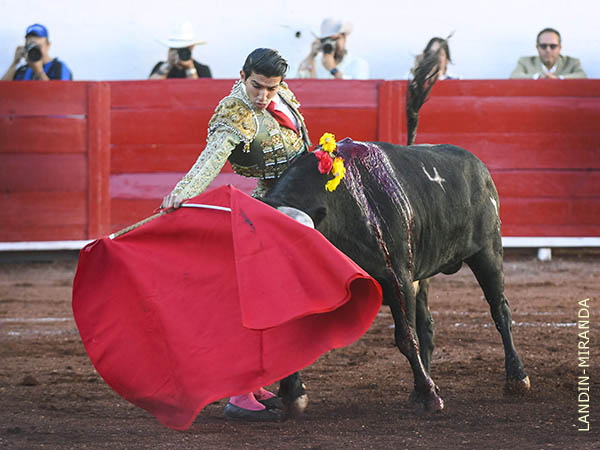 Resolvi� con solvencia