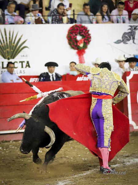 Molinete sobre las rayas