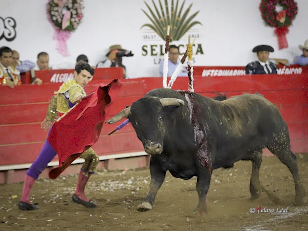 Inmensa  mole de 587 kilos