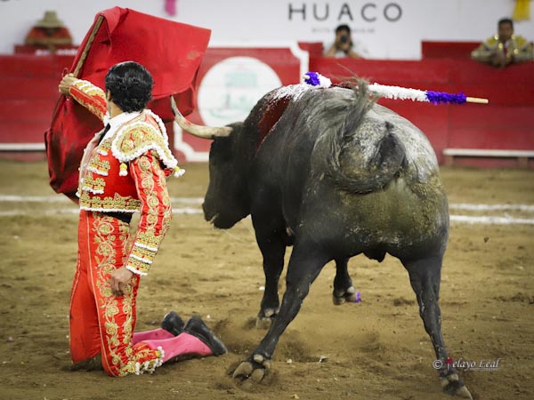 Diego, espectacular en el pr�logo