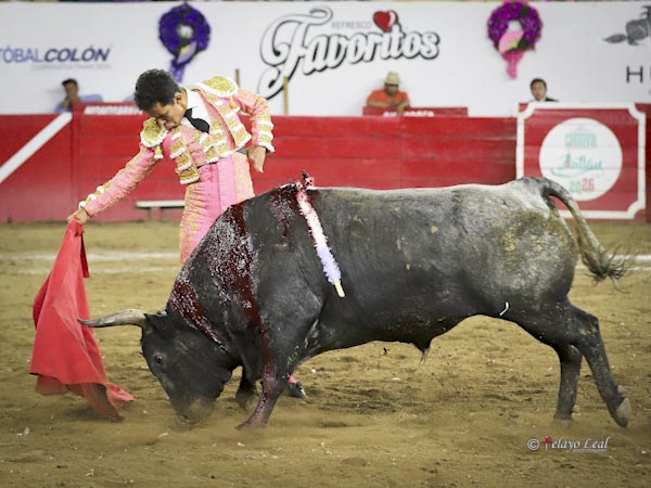 Consolidado concepto torero