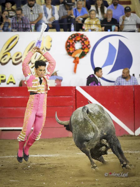 Leo en banderillas