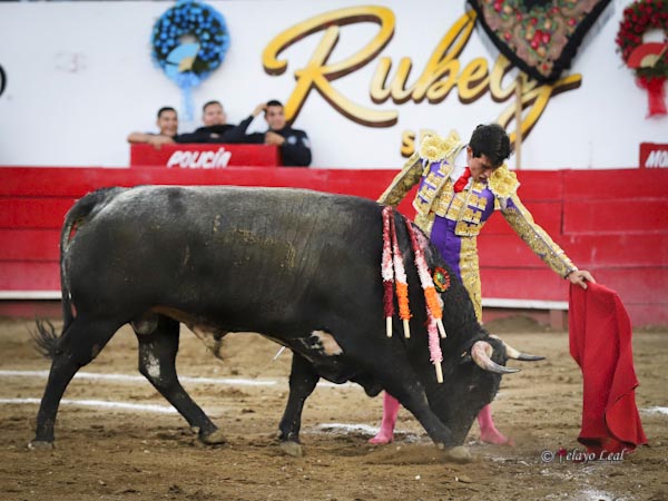 Serenidad y temple en su lote