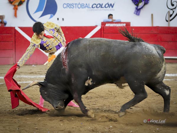 Un c�rdeno bien armado